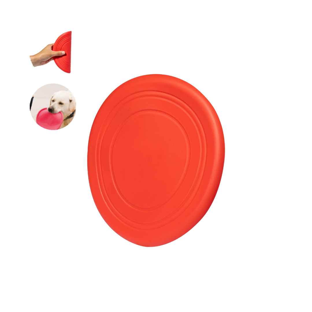 Frisbee Girud — vista 5