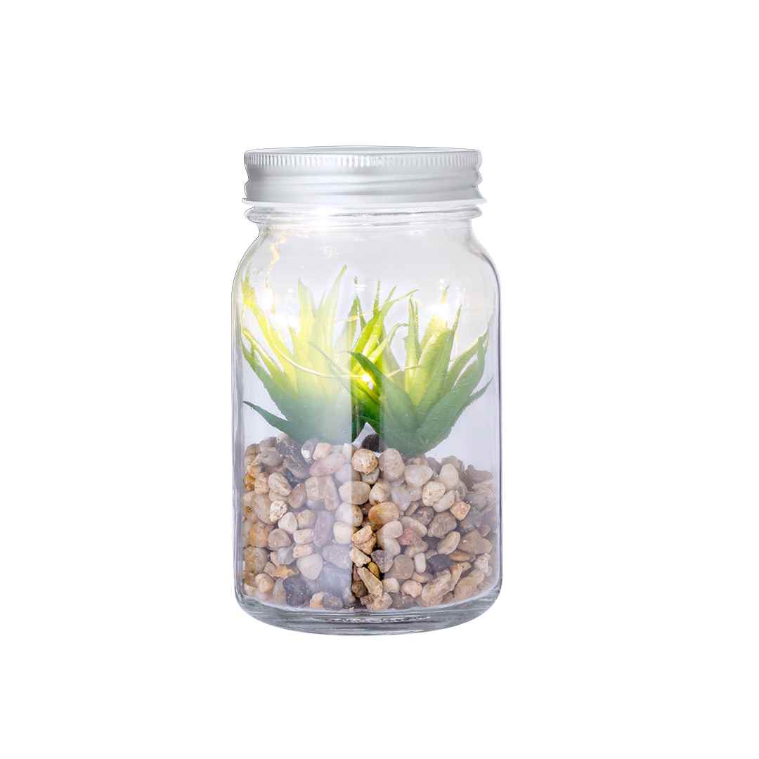 Planta Decorativa Kyala — vista 2