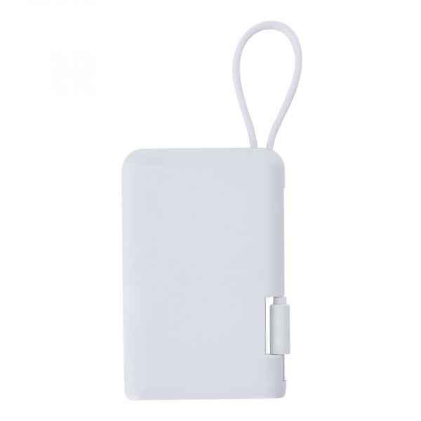 Power Bank Brandin