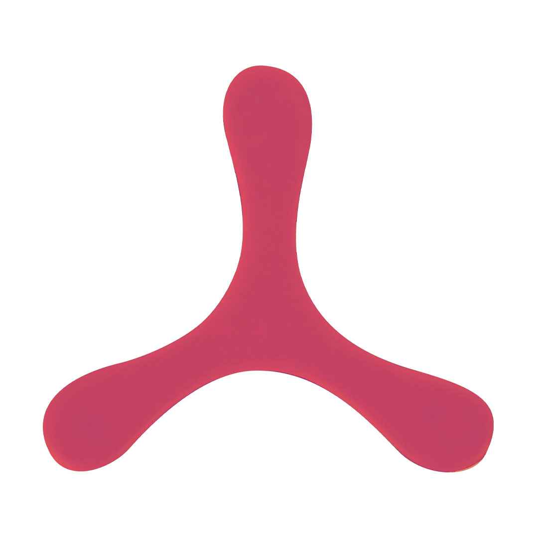 Frisbee Kybeck — vista 4