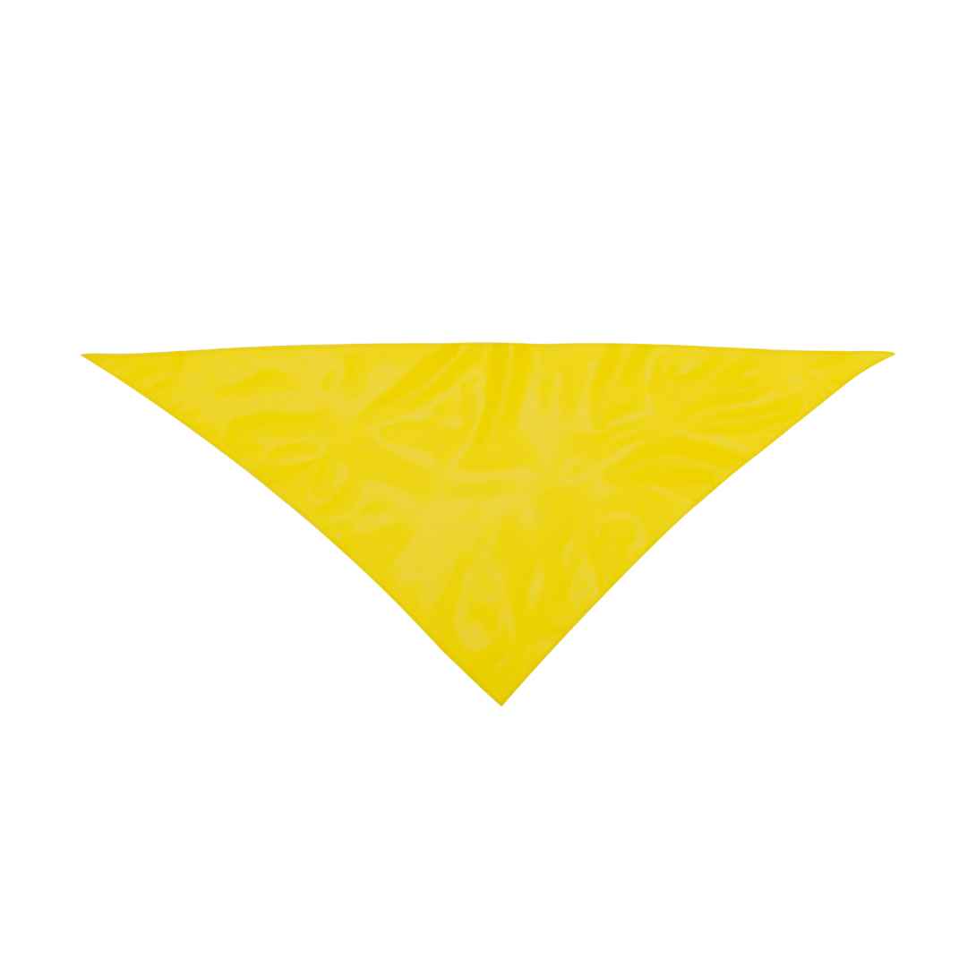 Pañoleta Plus — vista 2