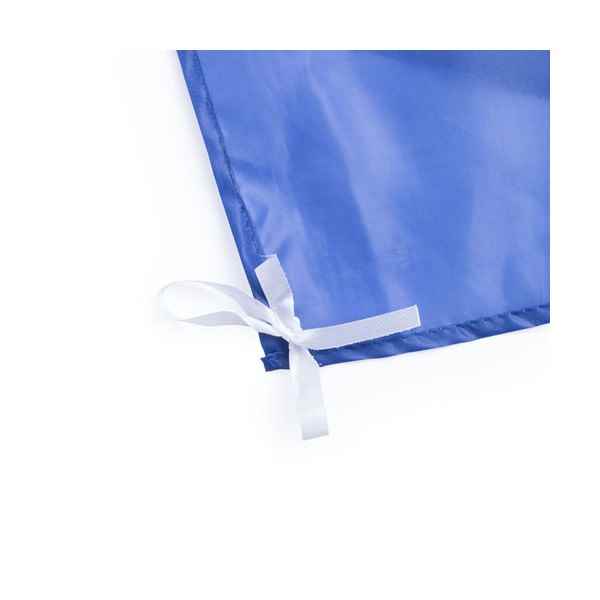 Bandera Dambor